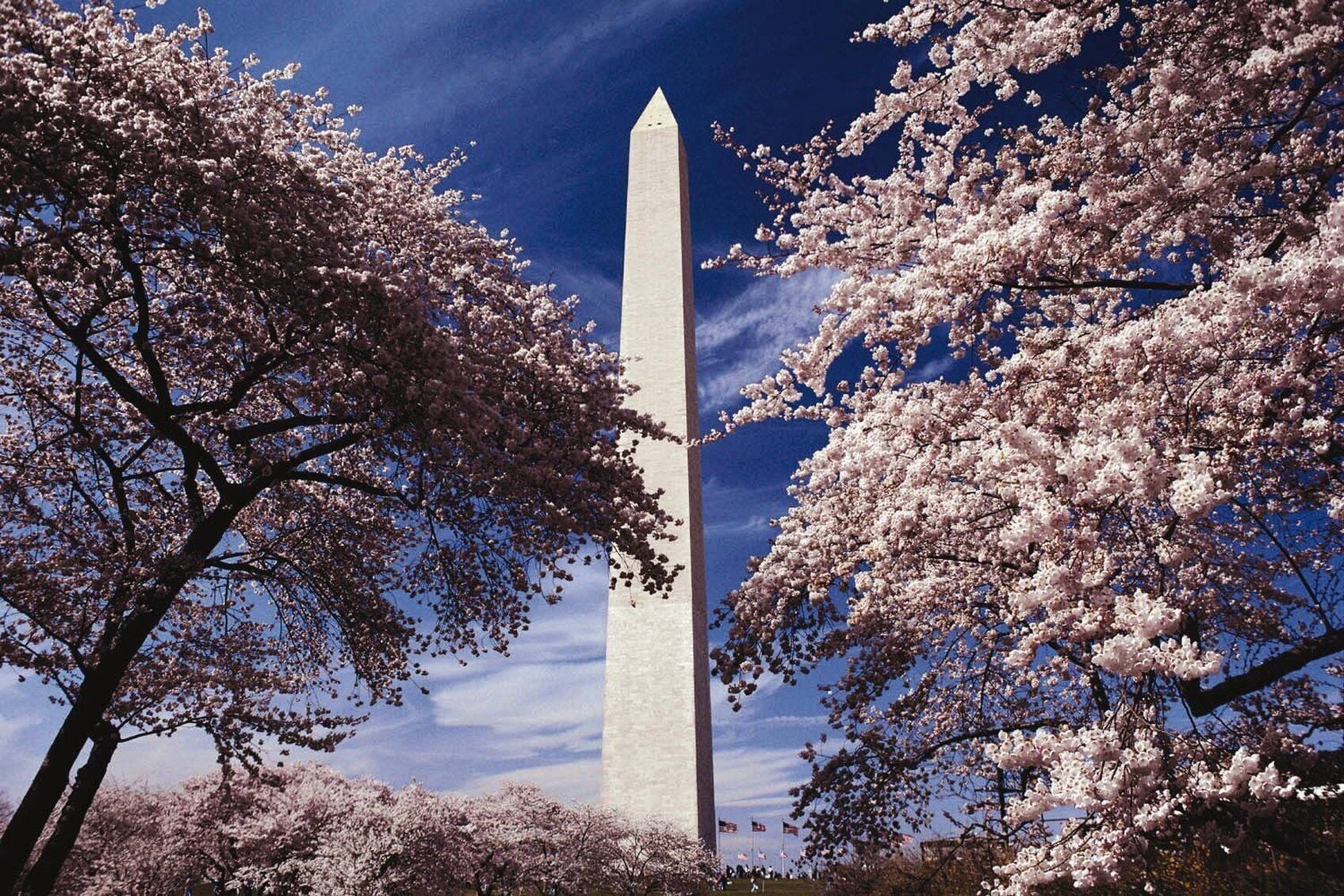 Foto - Club Wyndham National Harbor