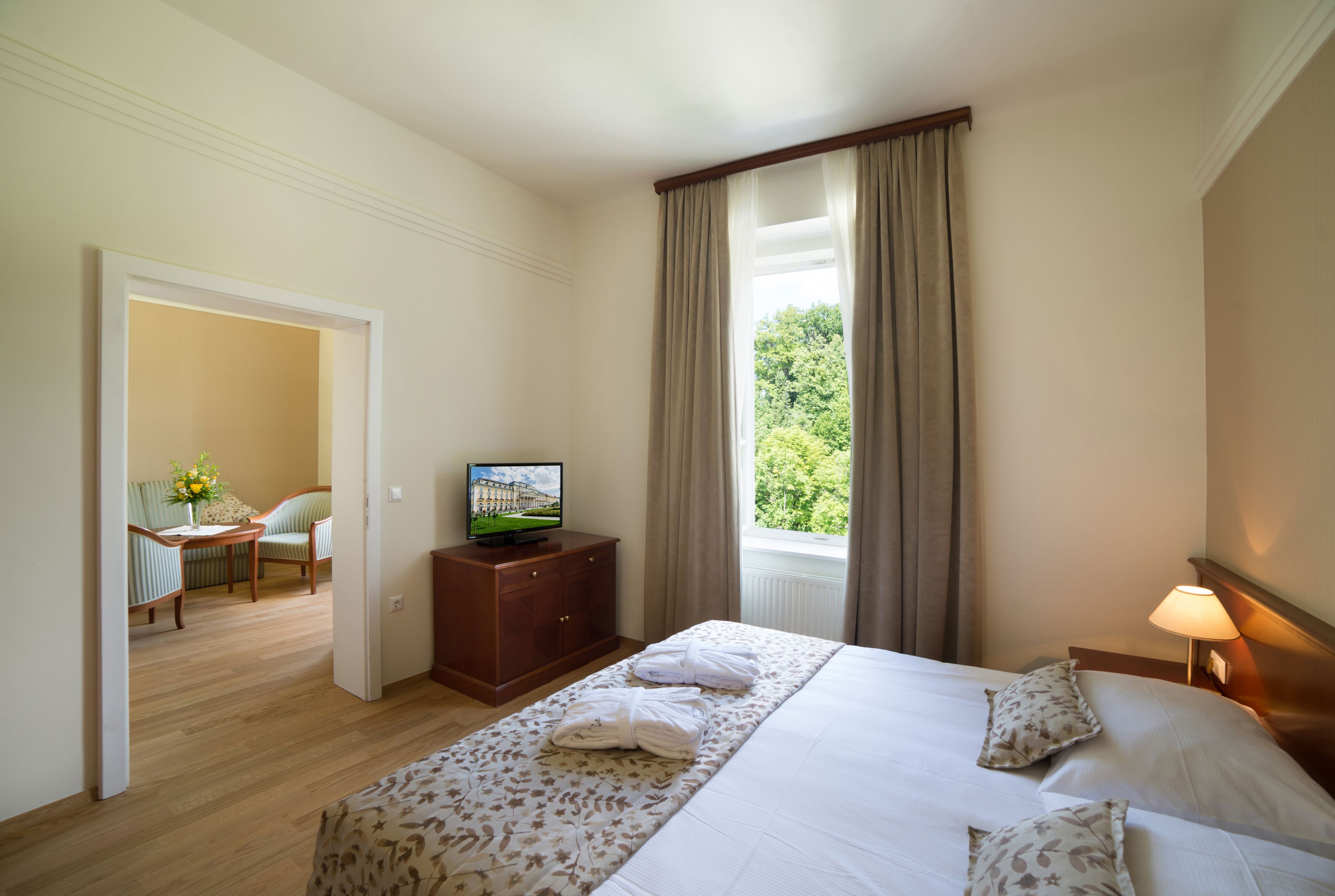 Premium Suite, Park View | Minibar, in-room safe, desk, blackout drapes