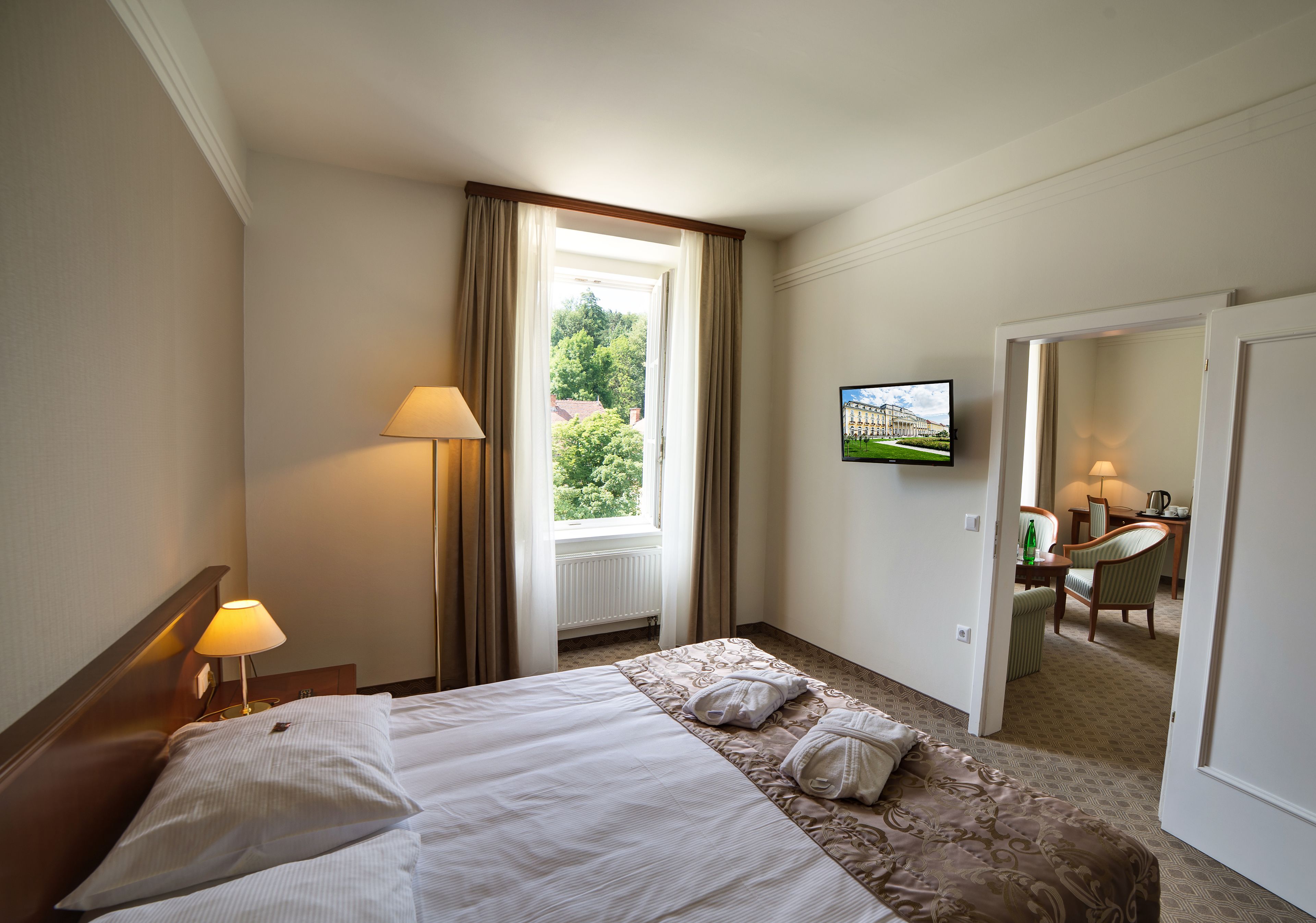 A hotel room with a bed, a TV, a desk with a chair, and a view of greenery outside.