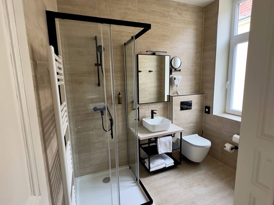 A modern bathroom with a glass-enclosed shower, a white sink, and a toilet.