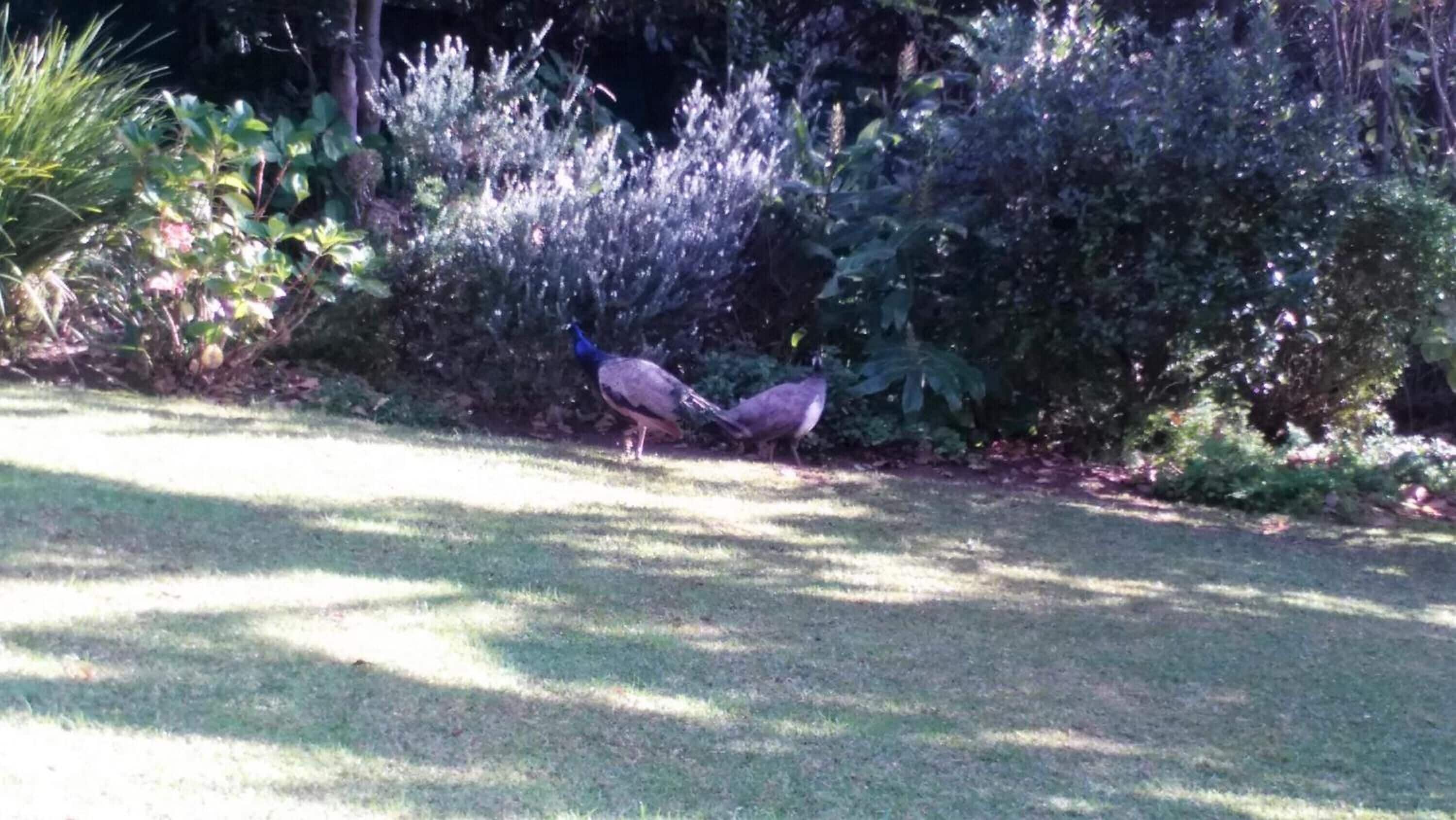 Foto - Southern Light Country House