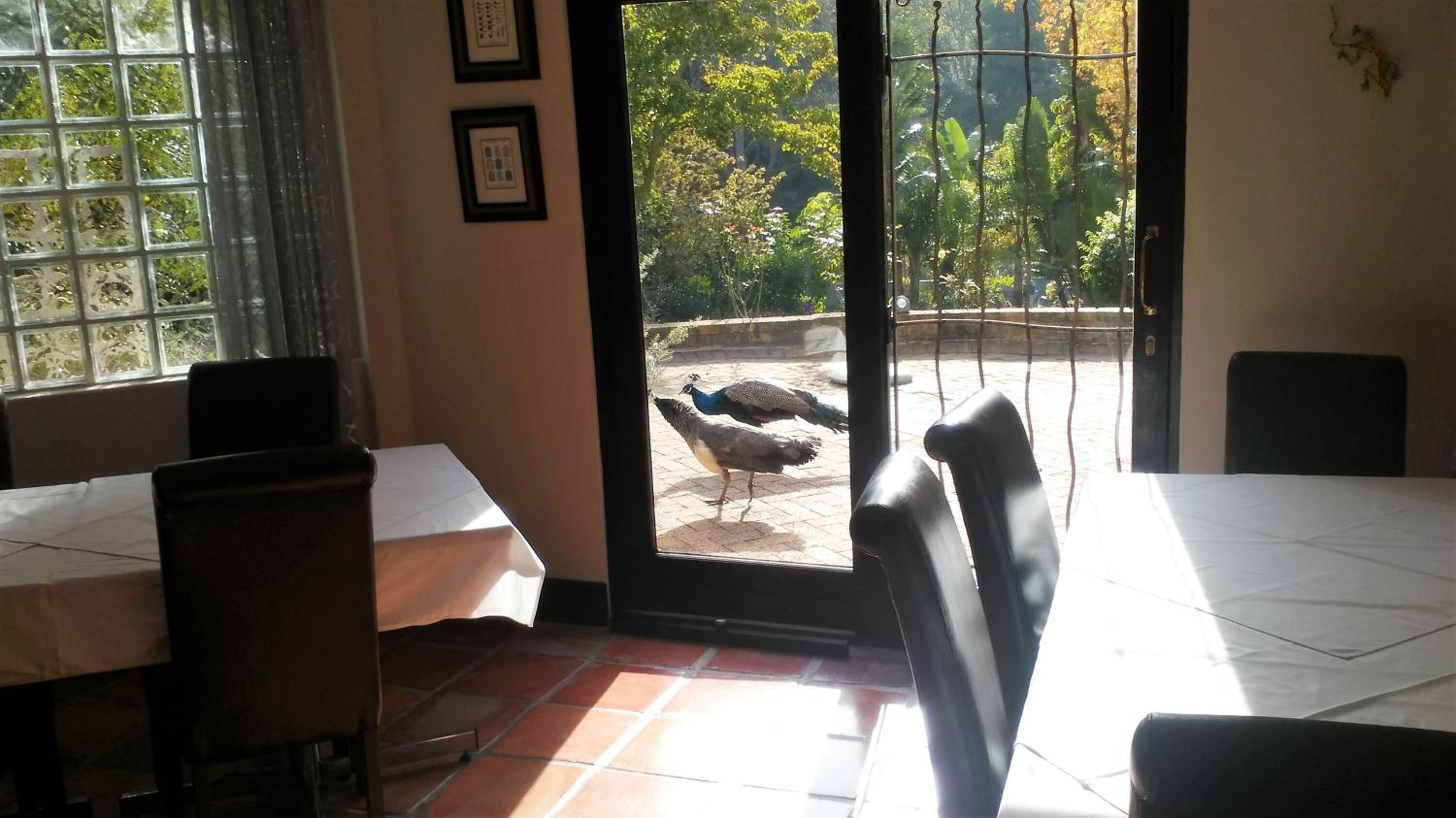 Foto - Southern Light Country House