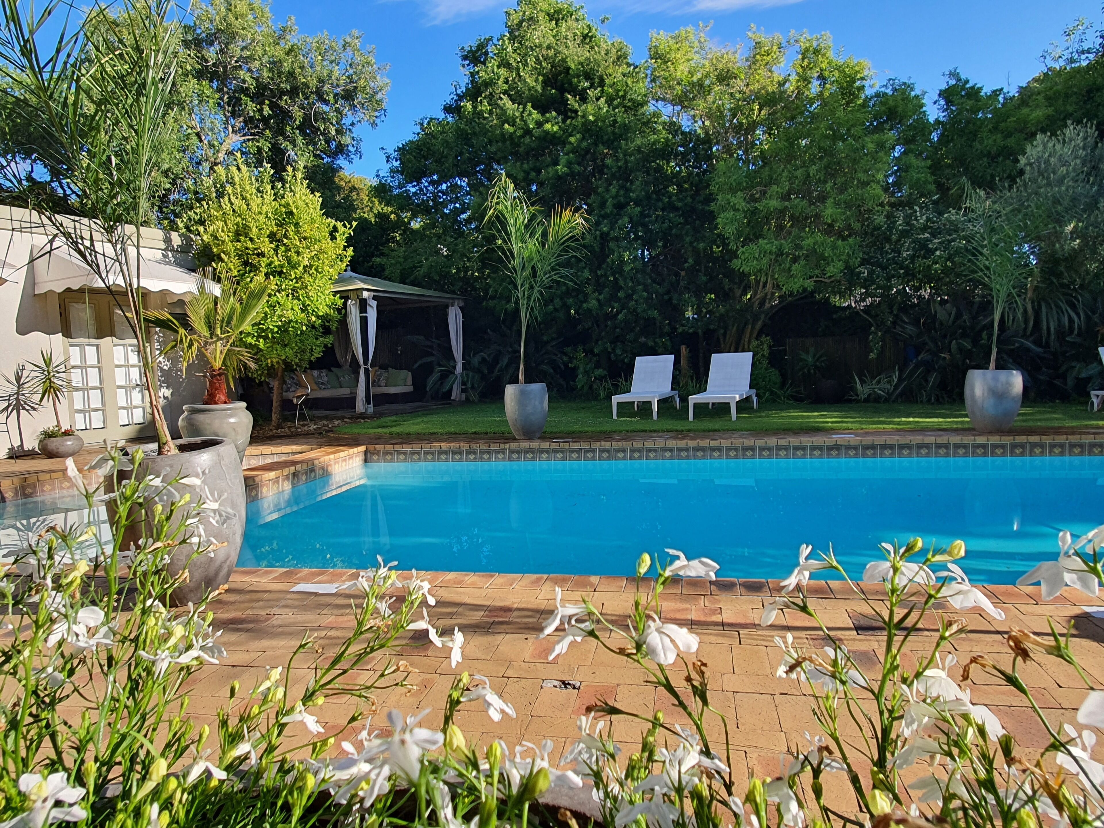 Photo - Wild Olive Guest House & Villa