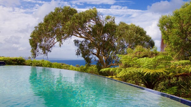 Una piscina azul cristalina rodeada de exuberante vegetación y árboles, con vistas al océano en el fondo.