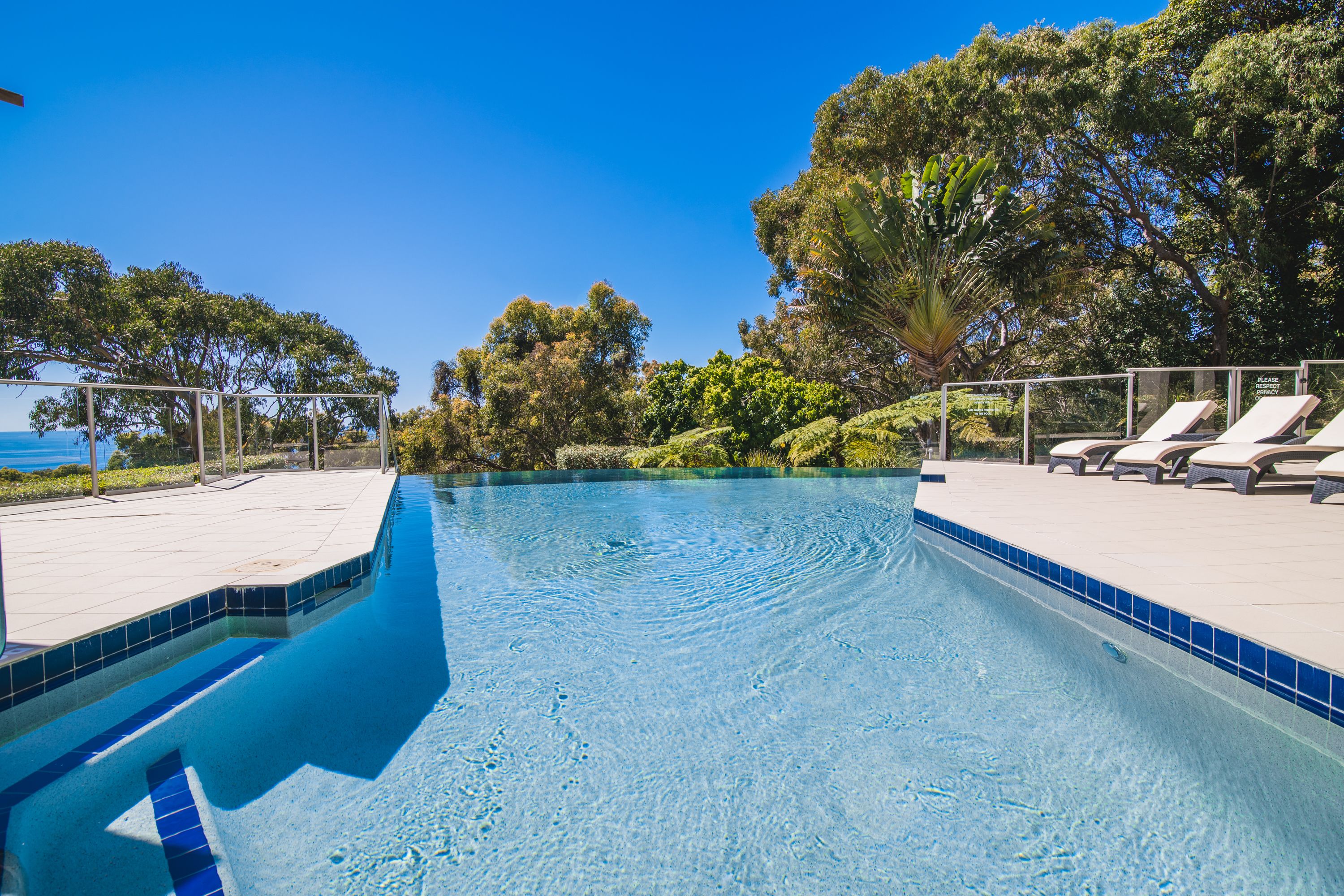A clear swimming pool with blue tiles, surrounded by lounge chairs and greenery.