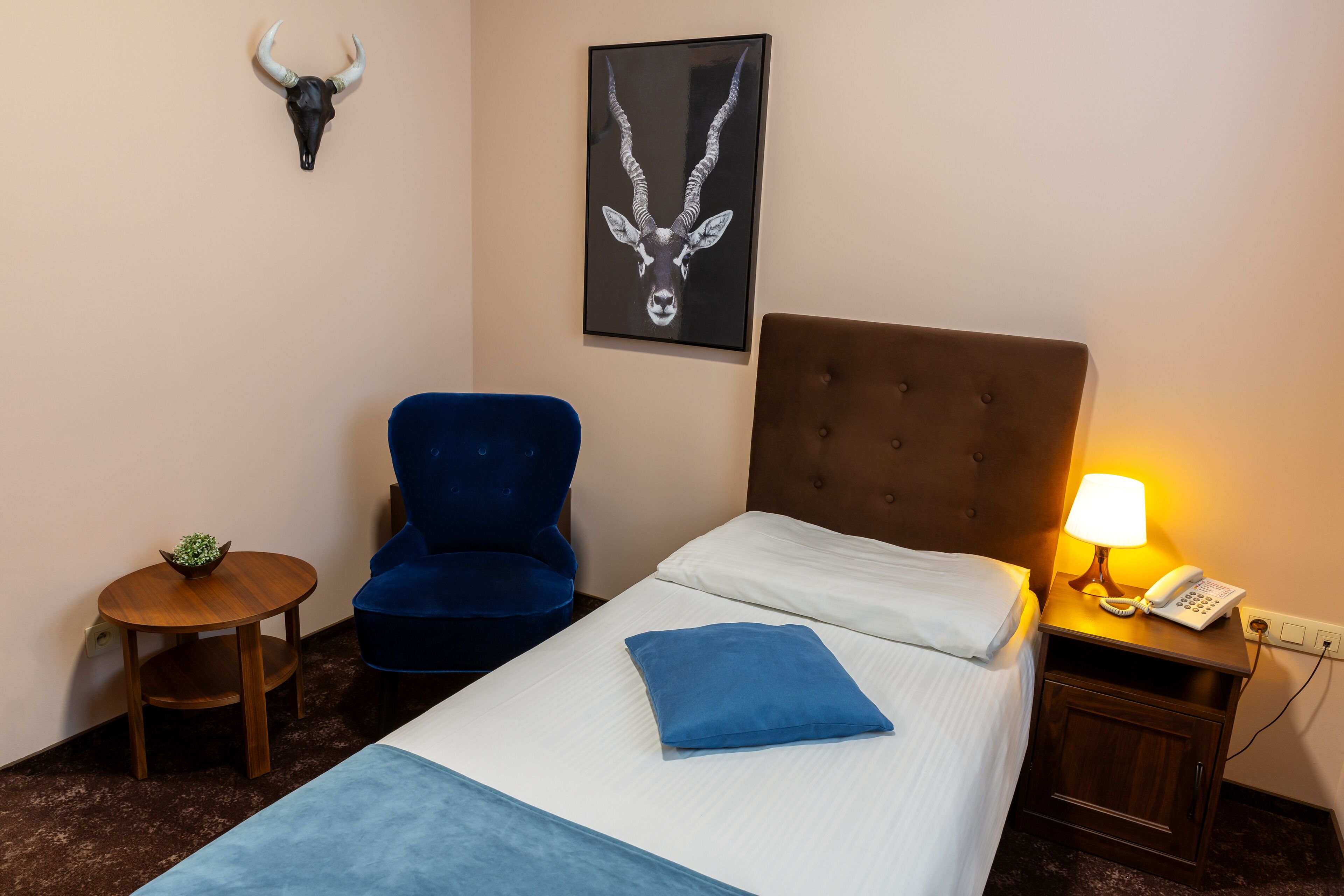 deluxe single room, 1 single bed, non smoking | 2 bedrooms, select comfort beds, in-room safe, desk