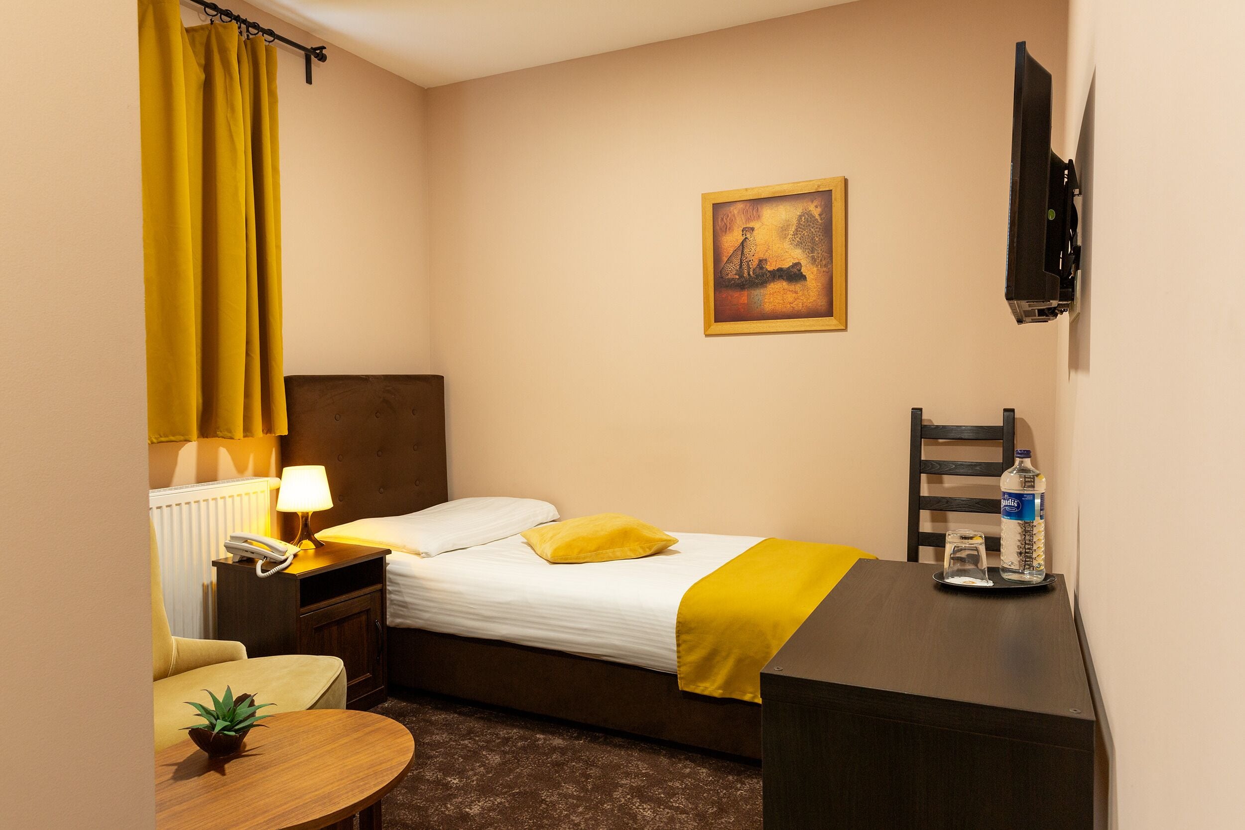 Hotelkamer met een bed, bureau, stoel, een klein tafeltje met een plant, lamp, schilderij aan de muur en een waterfles op het bureau.