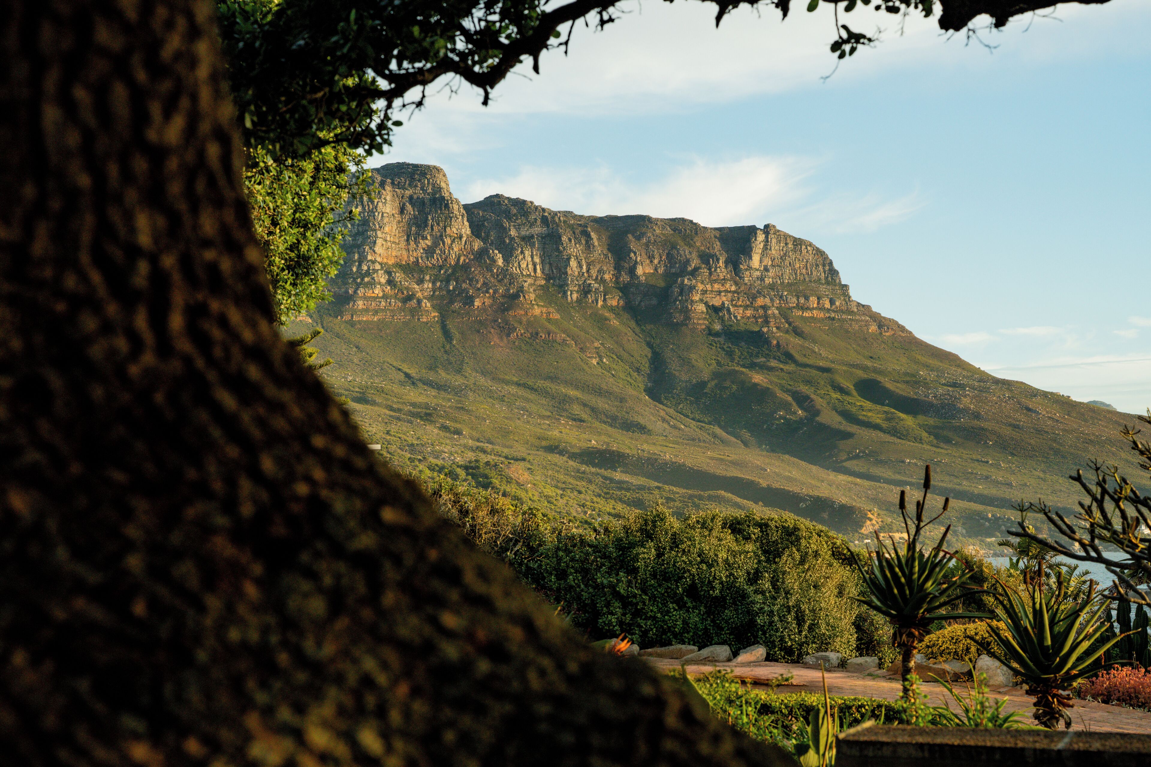A mountainous landscape with a prominent cliff in the background, surrounded by greenery and a tree in the foreground.