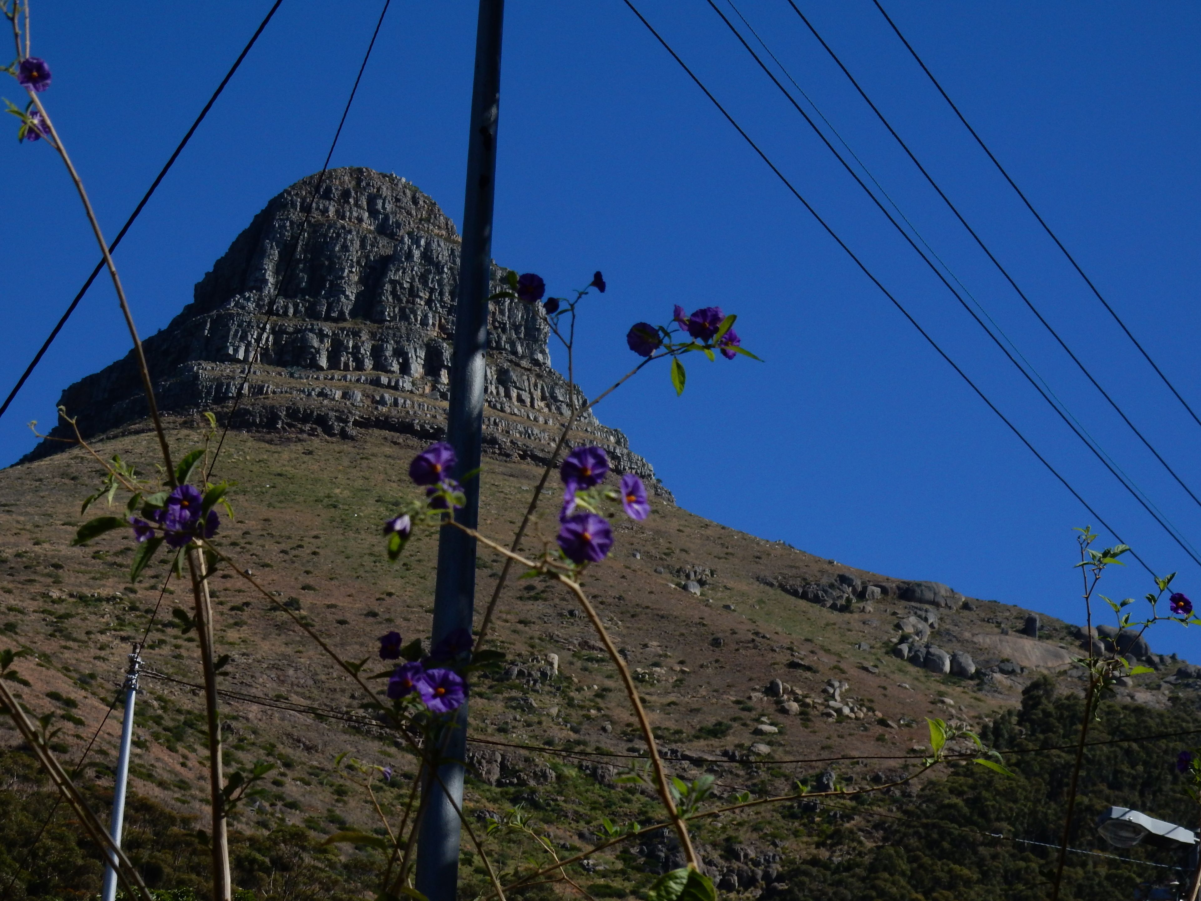 Foto - Maartens Guesthouse