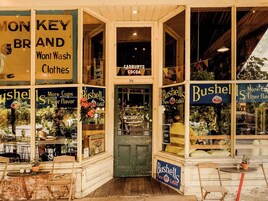 Fachada de una tienda con varios carteles que anuncian café y ropa, incluyendo 'Bushells Pure Coffee' y 'Monkey Brand Won't Wash Clothes'.