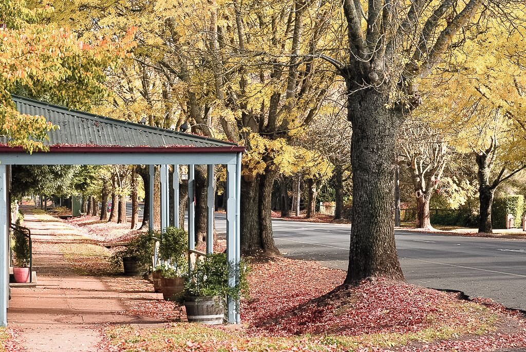 A covered walkway with a metal roof, lined with trees and potted plants.