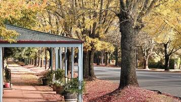 A covered walkway with a metal roof, lined with trees and potted plants.