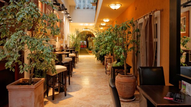 A spacious indoor area with a high ceiling and large windows, featuring multiple seating arrangements and potted plants. - Enjoy Inn (Plzen)