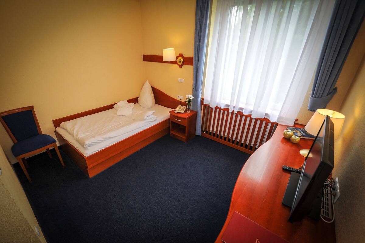 Standard Single Room | Minibar, in-room safe, desk, soundproofing