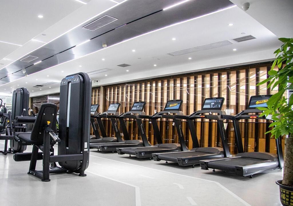 A gym with treadmills, weight machines, and a large potted plant.