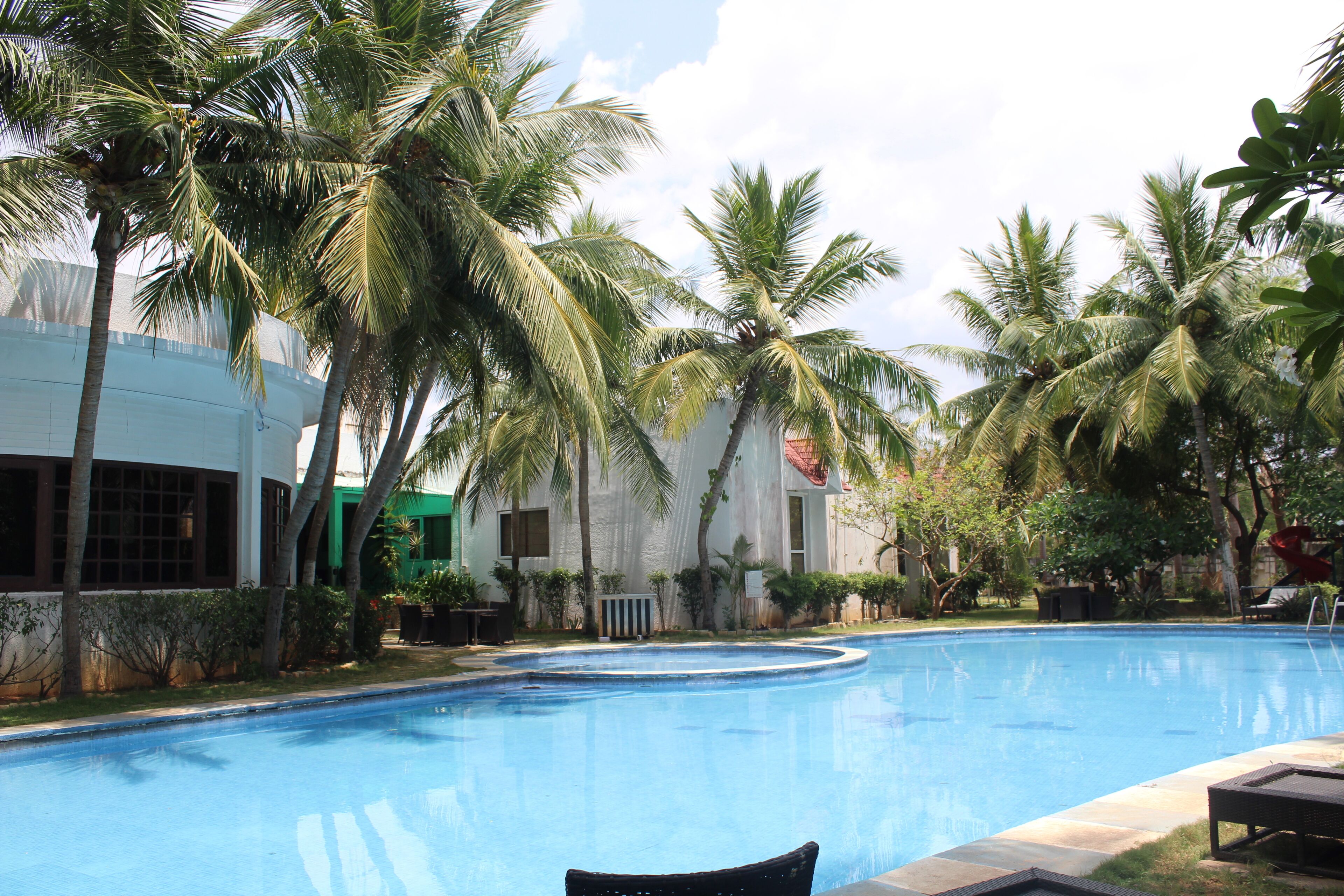 Una piscina rodeada de palmeras y un edificio con ventanas amplias.