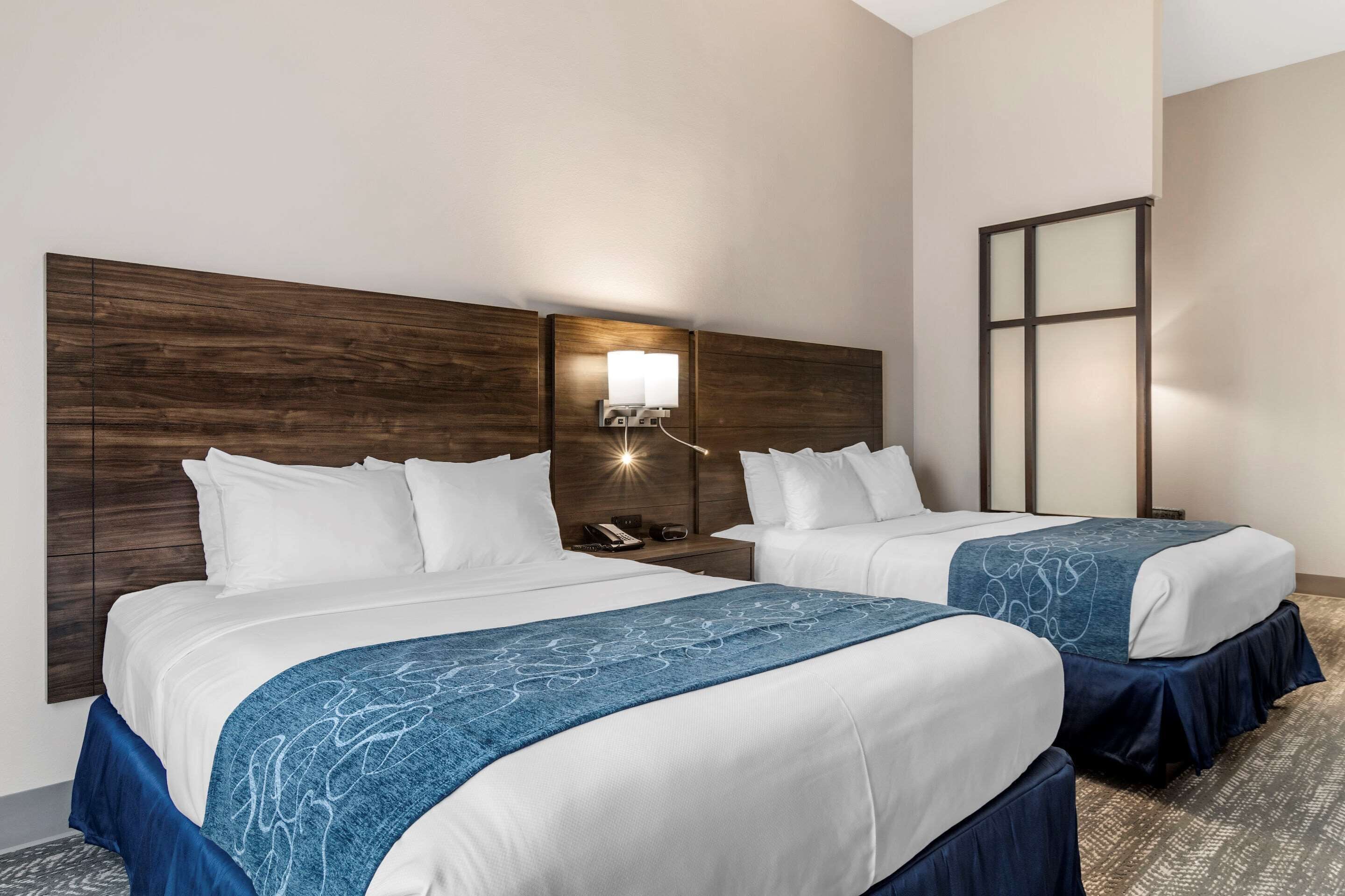 premium bedding, in-room safe, desk, blackout curtains