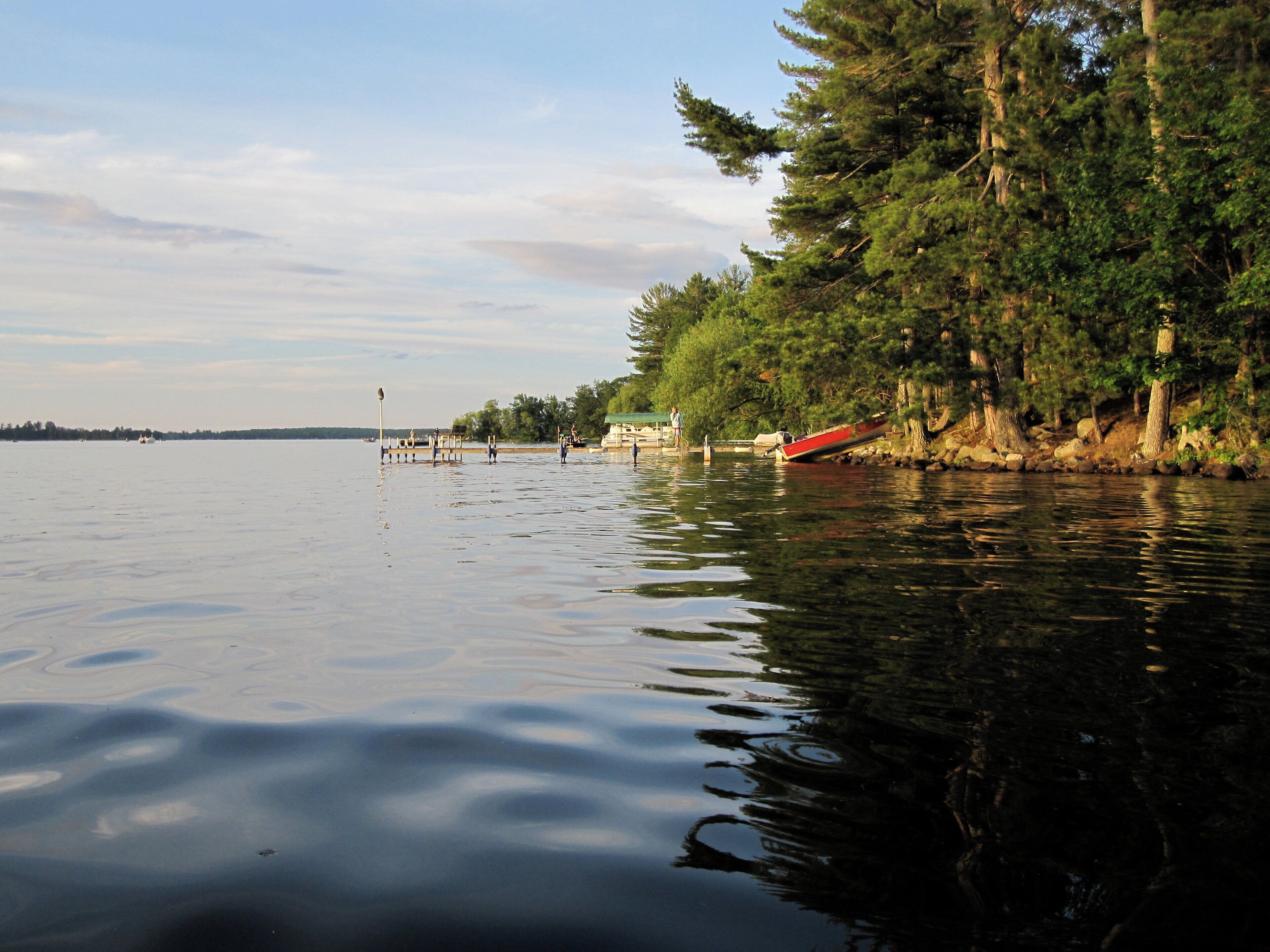 A calm lake with a dock extending into the water, surrounded by dense trees.