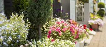 Shin-Osaka Station Hotel Annex