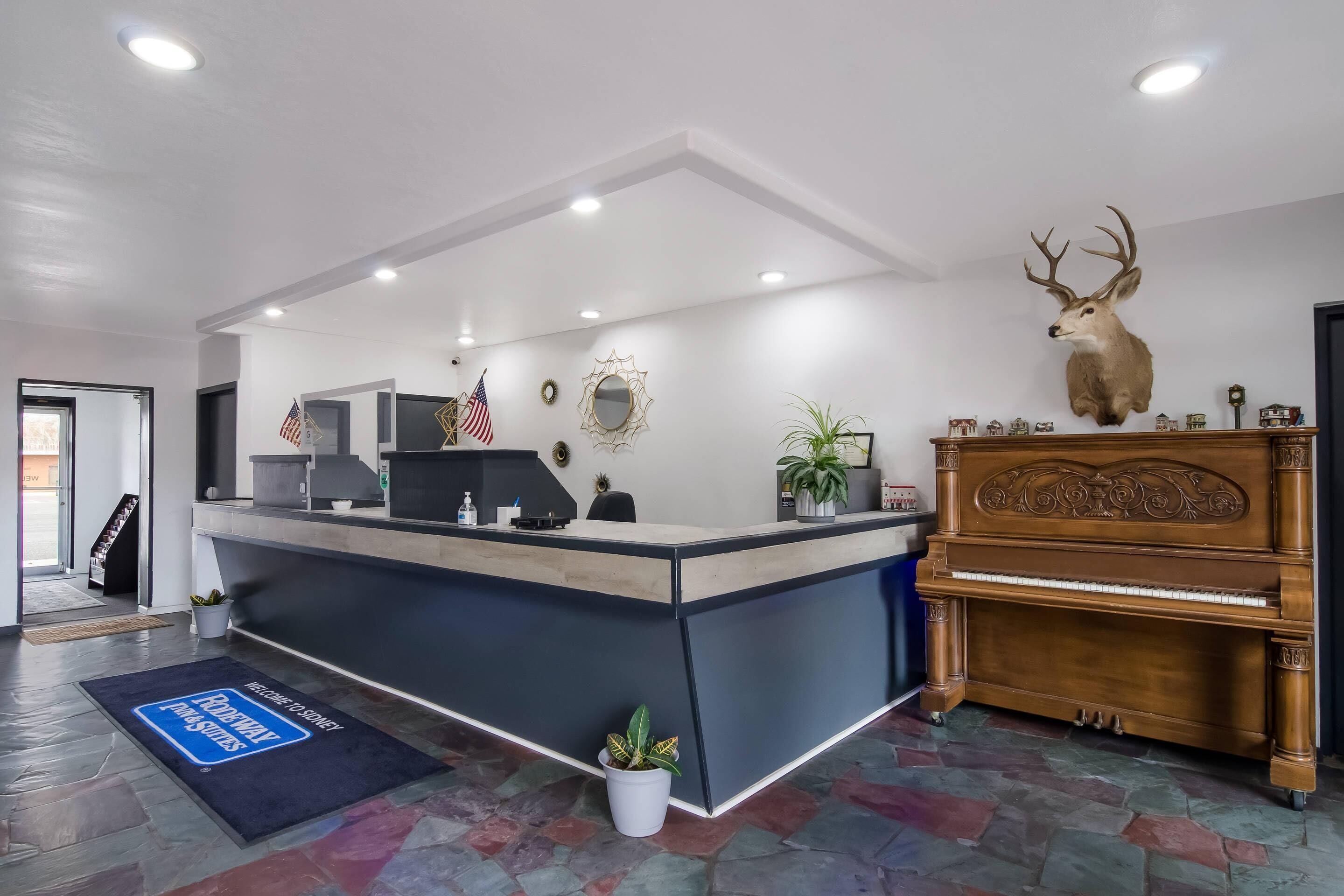 Un comptoir d’accueil avec un ordinateur, une plante en pot et une tête de cerf accrochée au mur.