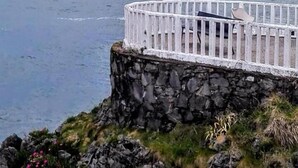 A coastal view with a white railing overlooking the sea, a rocky outcrop, and a distant hill. - Hotel Piedra (Carreno)