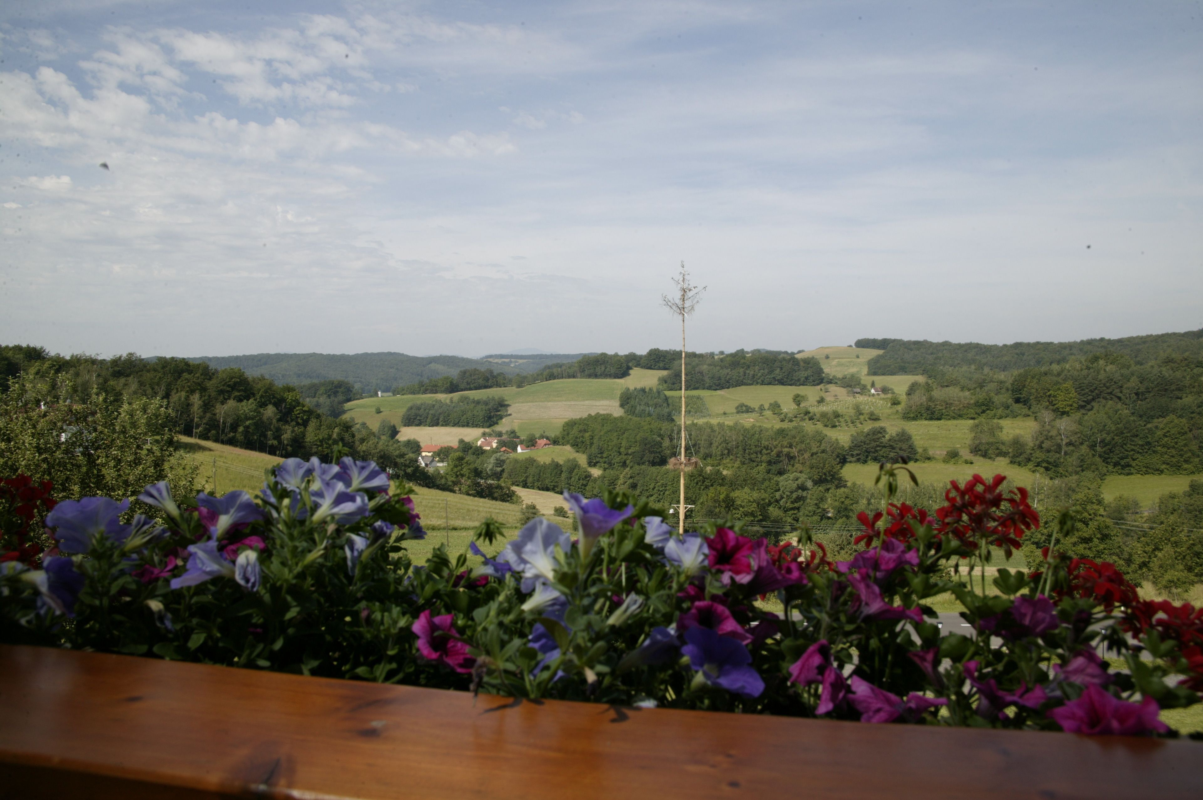 romantic double room | 1 bedroom, hypo-allergenic bedding, down duvets, pillow-top beds