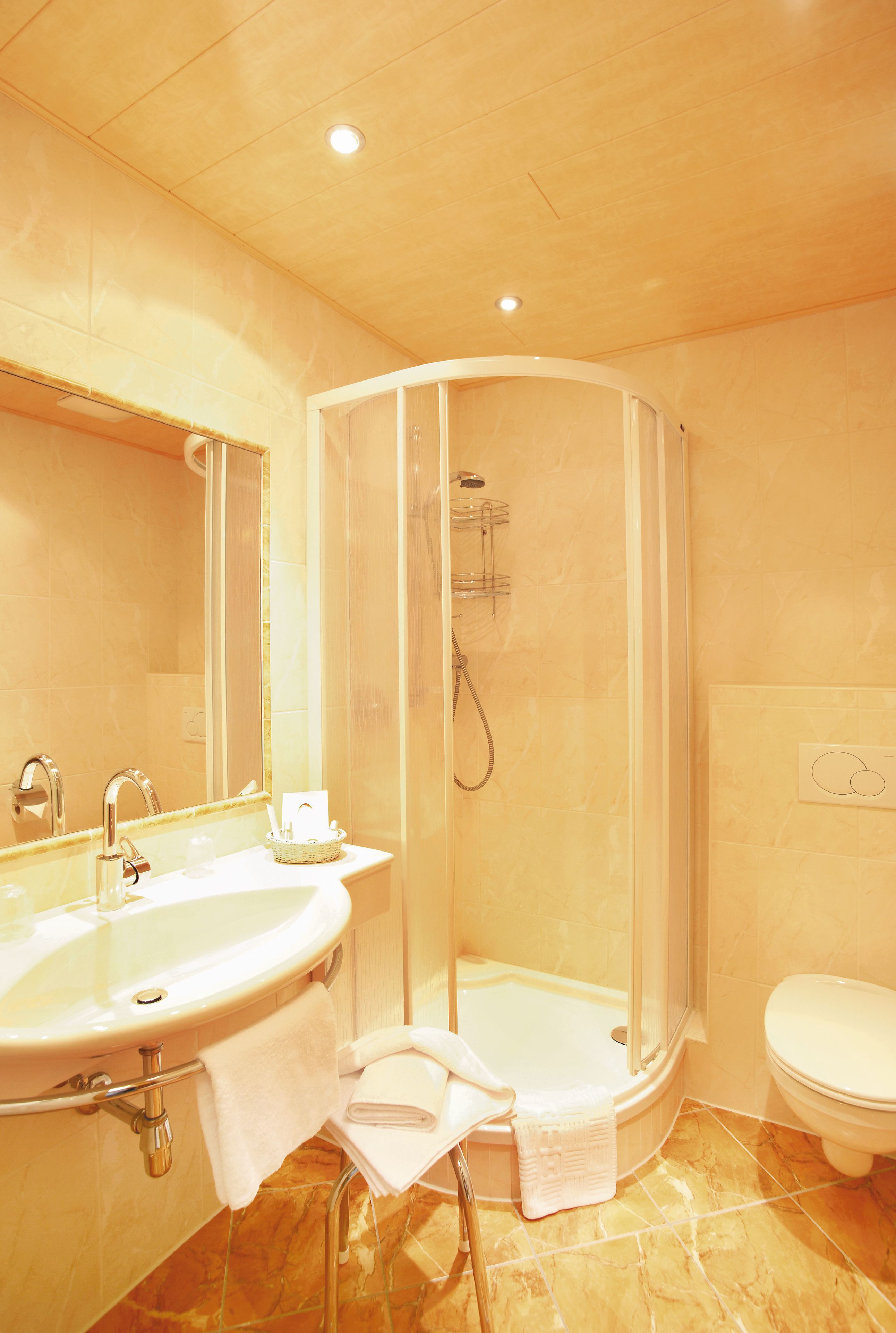 standard double room single use (kieselstein) | bathroom | shower, free toiletries, hair dryer, bathrobes