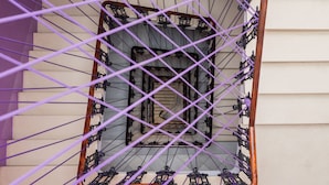 A view through a window with purple grid lines, a wooden frame, and a white wall.