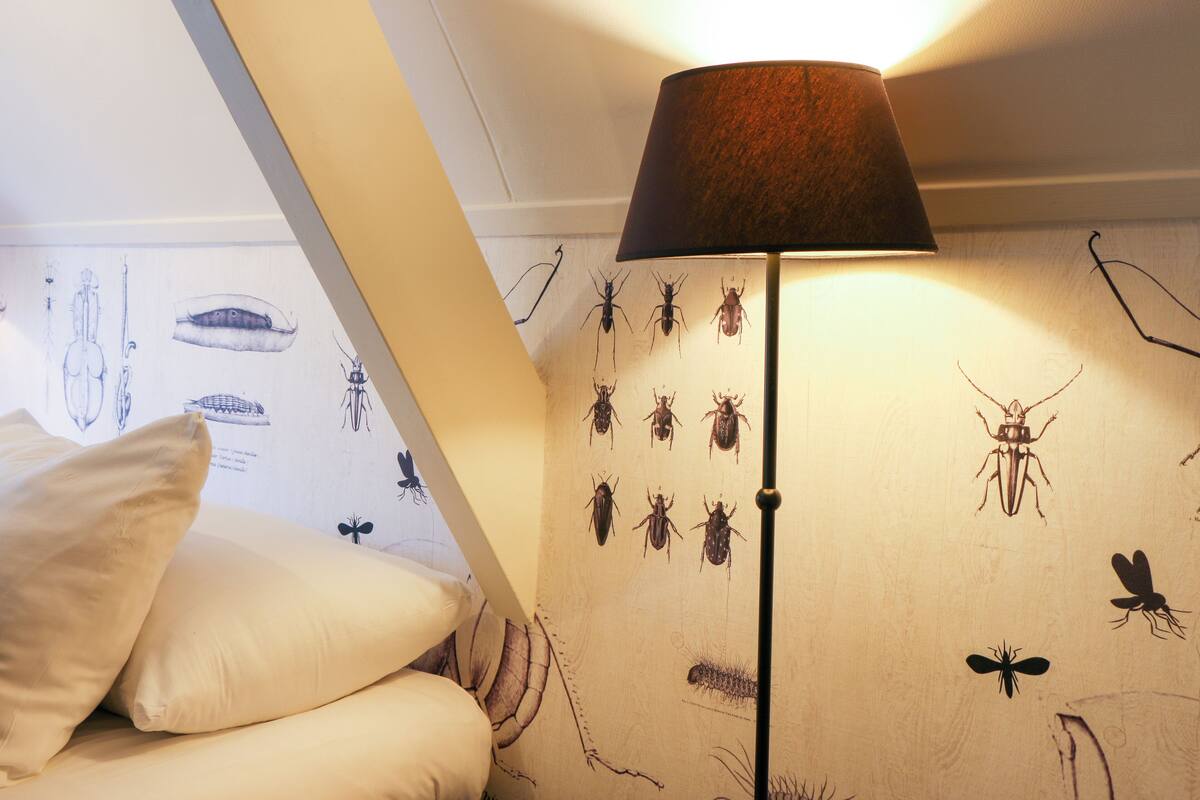 A bedroom with a bed, pillows, a lamp, and a wall with insect illustrations.