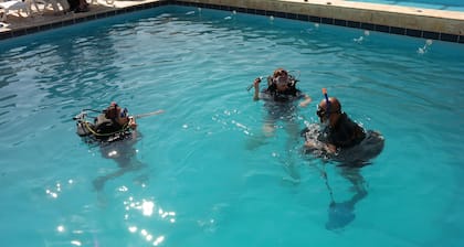 Arab Divers