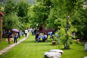 Garden - Bassen Pension (Bazna)