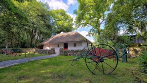 A rustic house with a thatched roof, surrounded by lush greenery and a stone wall. - Silken Thomas (Kildare)
