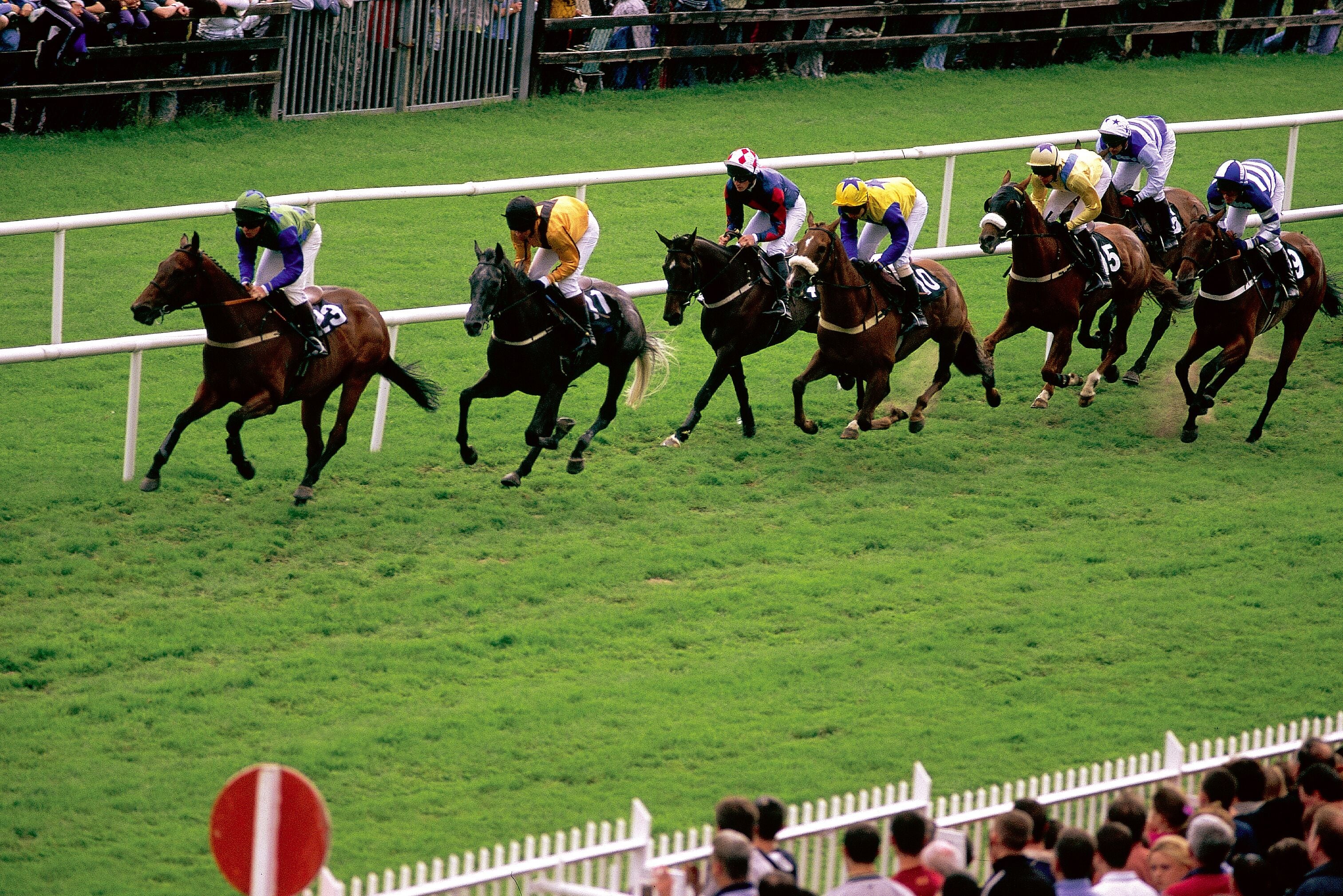 Uma corrida de cavalos com jockeys montados.