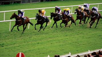 Uma corrida de cavalos com jockeys montados.