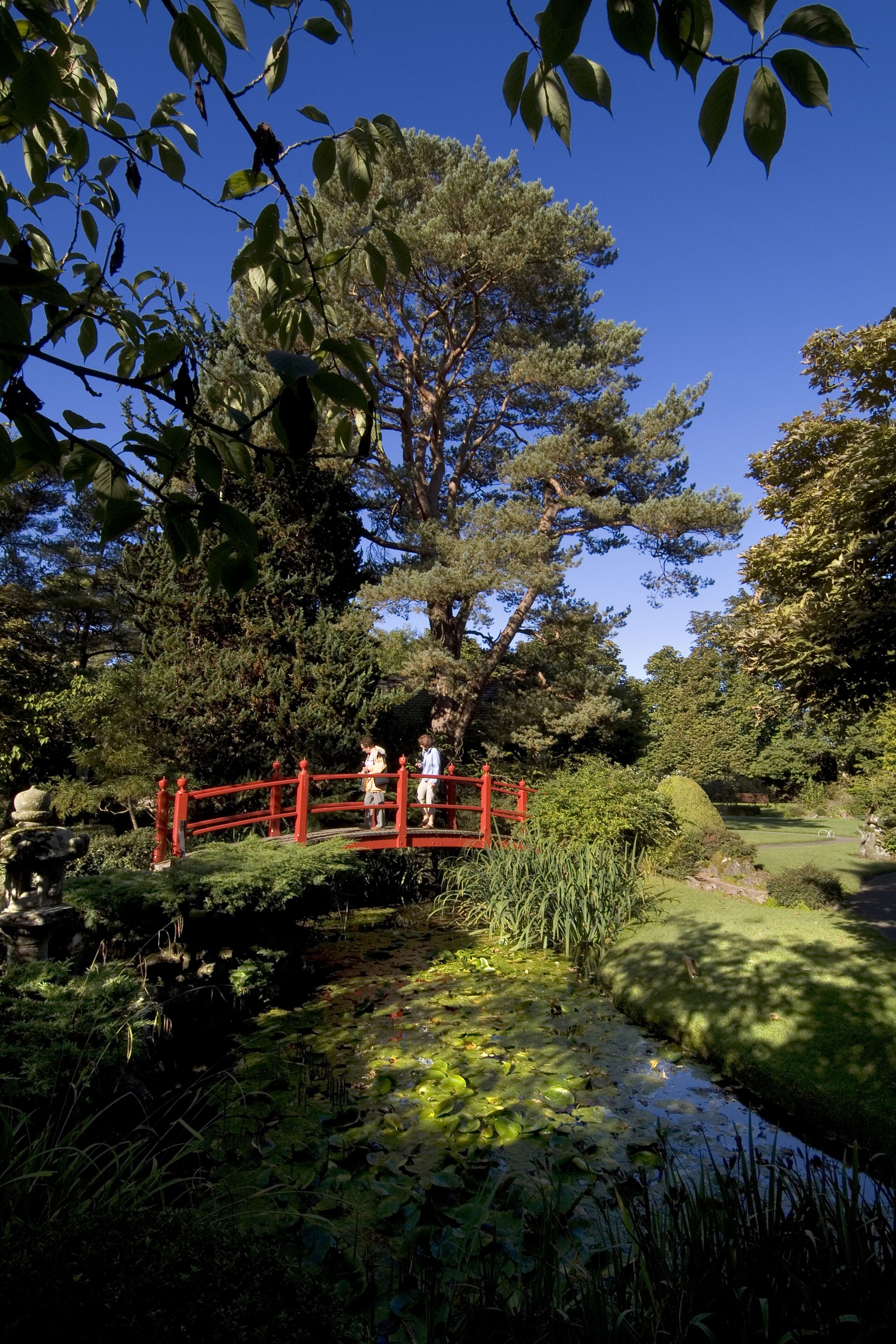 A serene garden with a red bridge, lush greenery, and a pond.