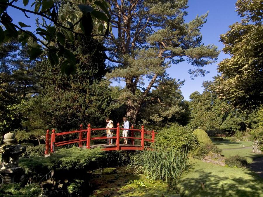 A serene garden with a red bridge, lush greenery, and a pond.
