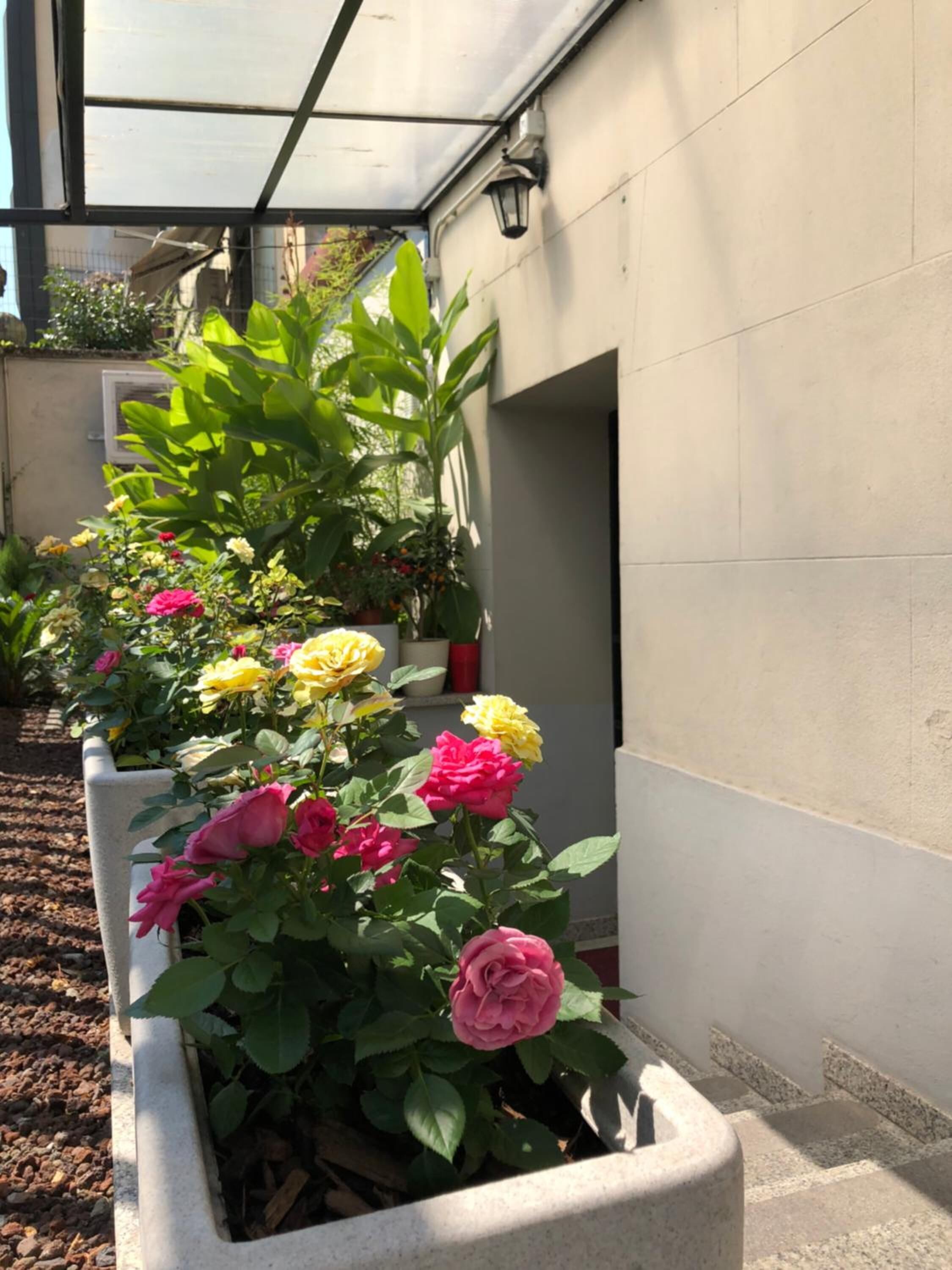 Douche, articles de toilette gratuits, sèche-cheveux, bidet