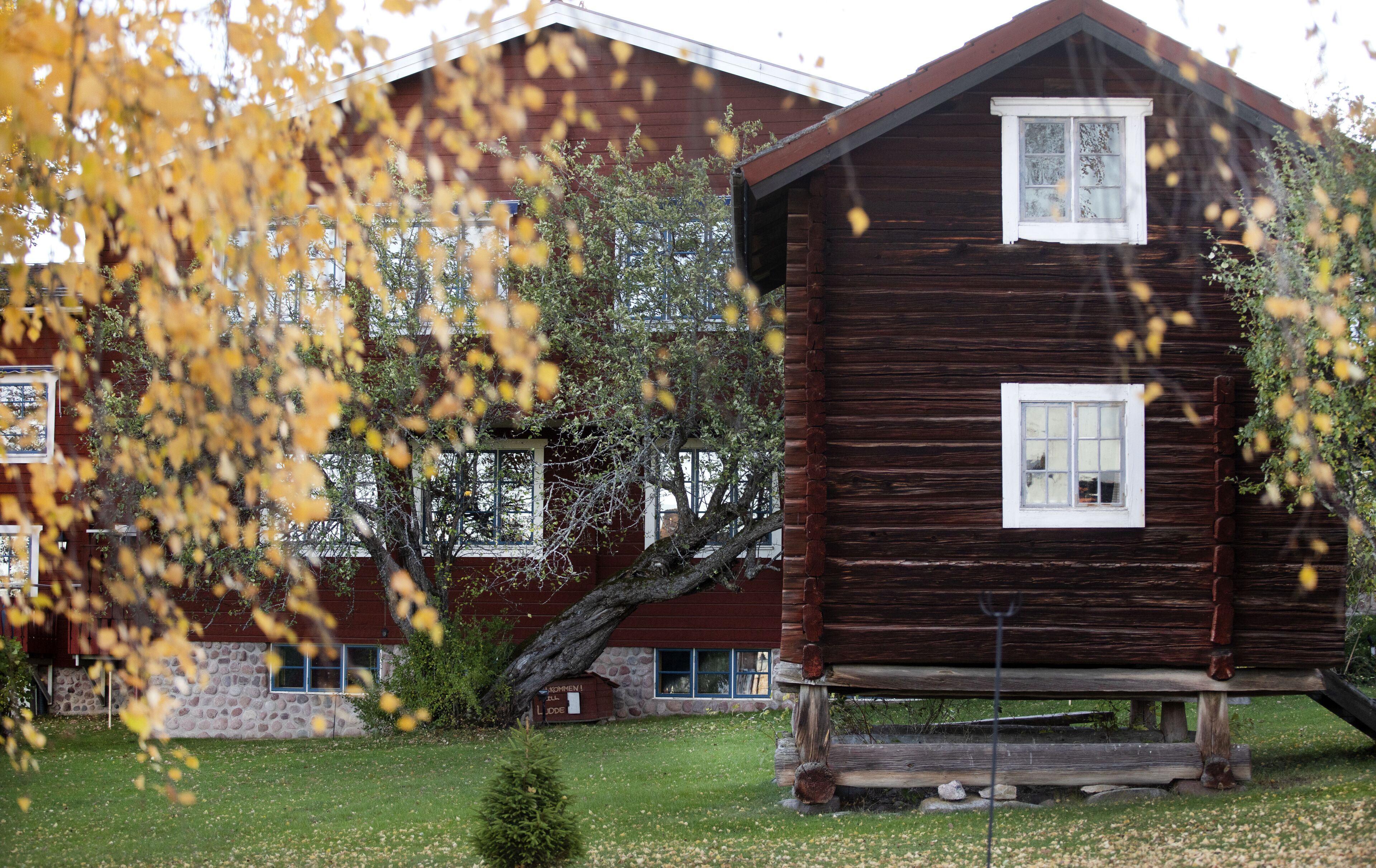 A rustic wooden cabin with a stone foundation, a small porch, and a large window.