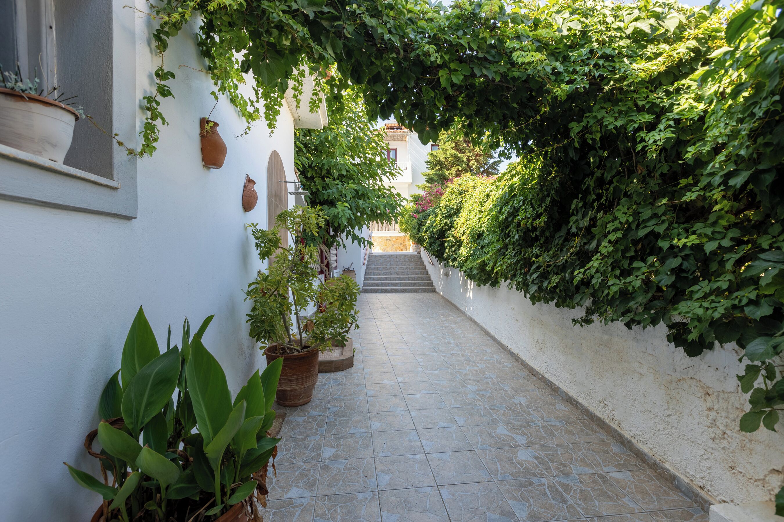A narrow alleyway with potted plants and a staircase leading to a building.