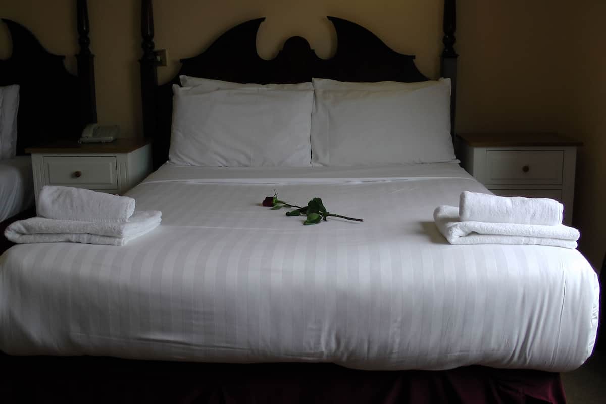 desk, iron/ironing board, free wifi