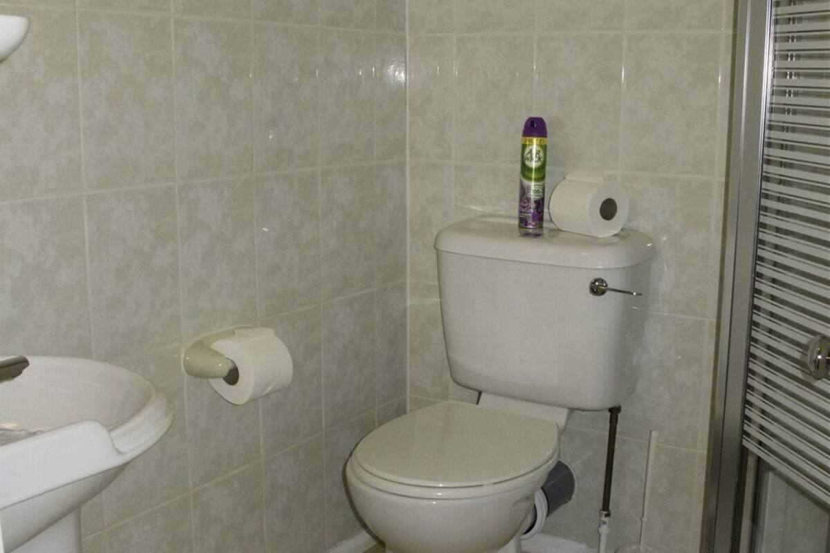 A bathroom with a toilet, a bidet, and a shower area.