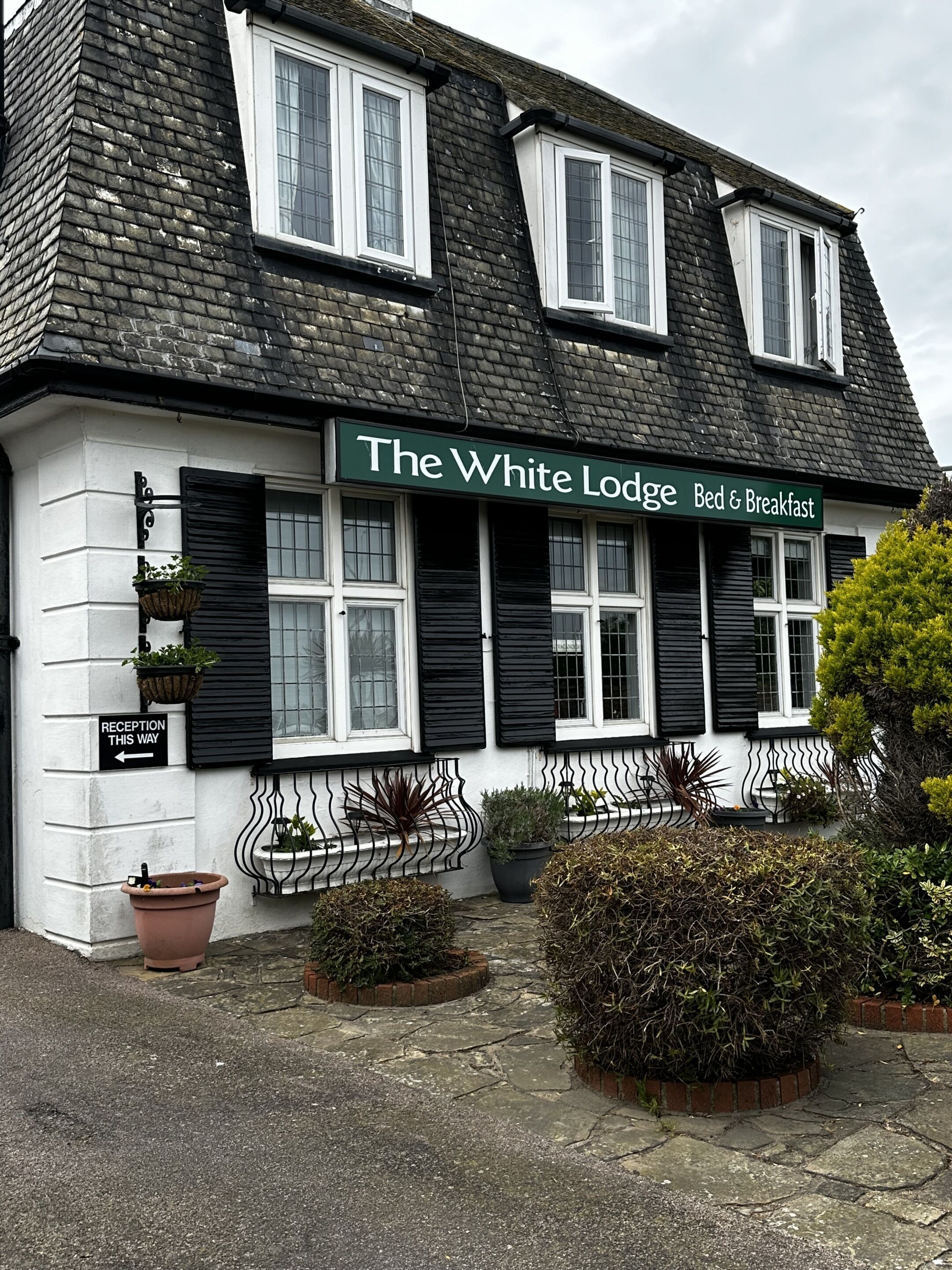 The White Lodge Bed & Breakfast with a reception sign, black shutters, and potted plants.