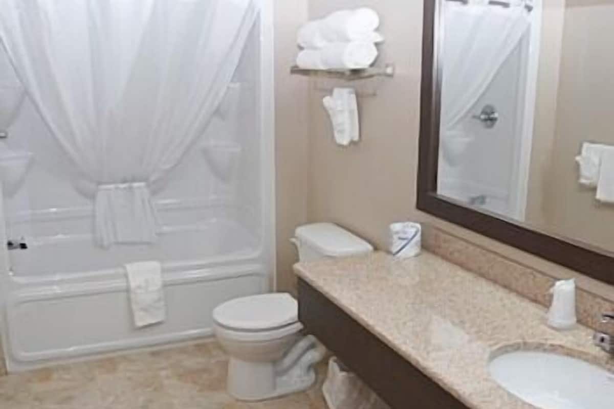 hair dryer, towels, soap, shampoo