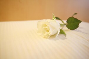 Una rosa blanca sobre una superficie rugosa.