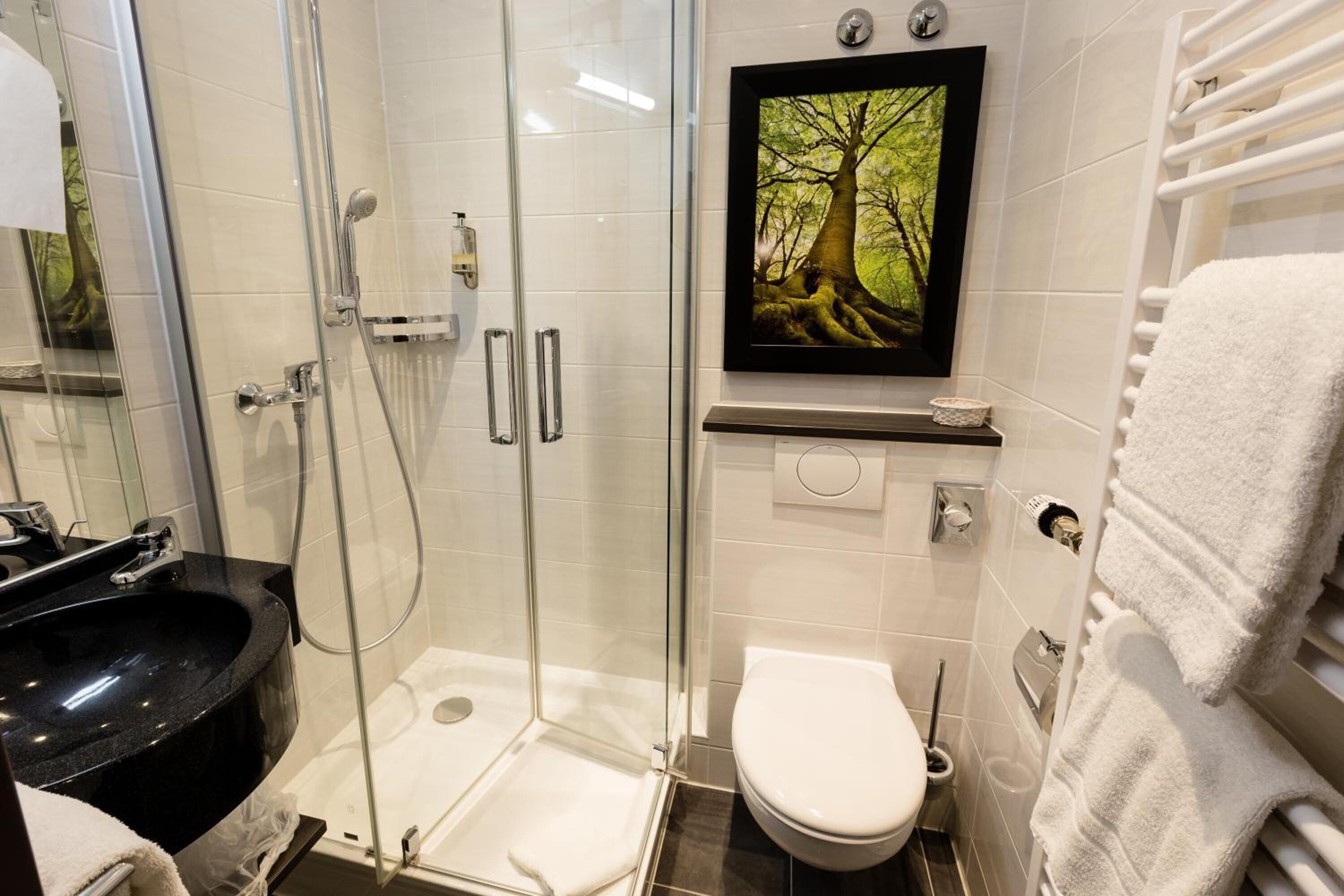 shower, free toiletries, hair dryer, towels