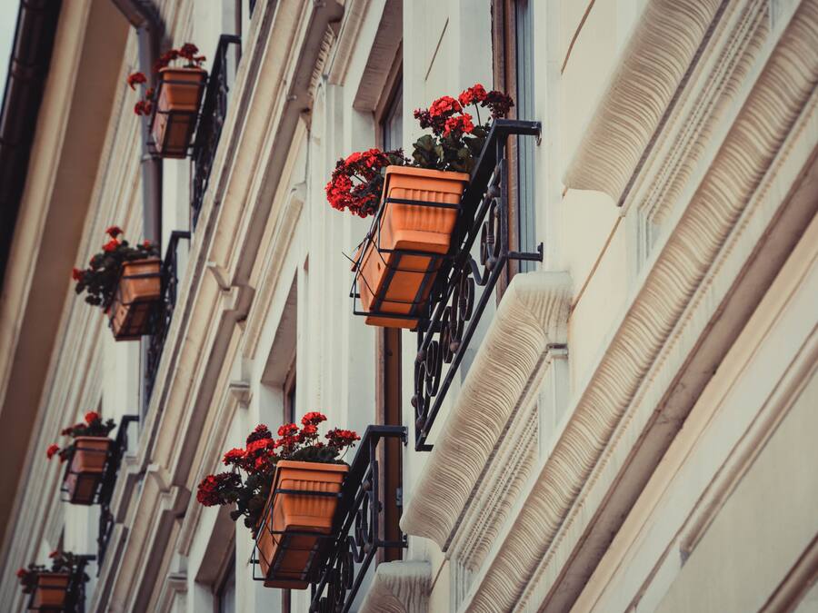 A building facade with multiple balconies, each with a flower box containing red flowers.