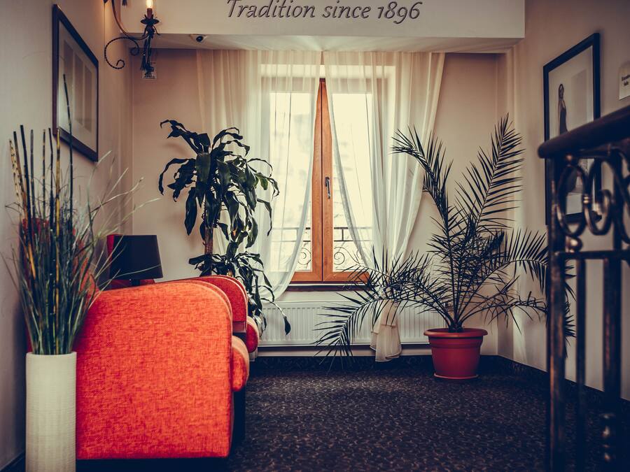 Quarto de hotel com uma cama, plantas em vasos, uma janela com cortinas e um letreiro na parede com a inscrição 'Tradição desde 1896'.