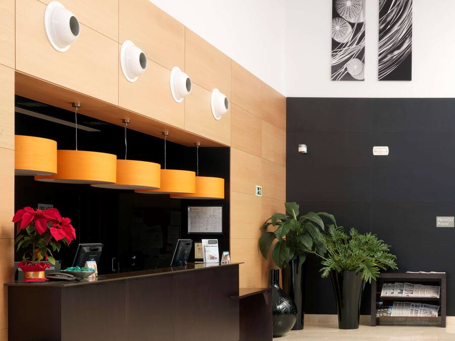 A modern reception area with a wooden panel wall, a dark reception desk, and a large potted plant.