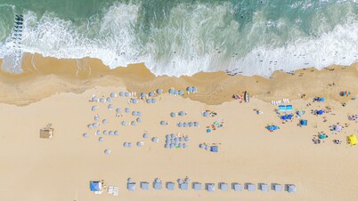 The Beach Club on Madison Avenue