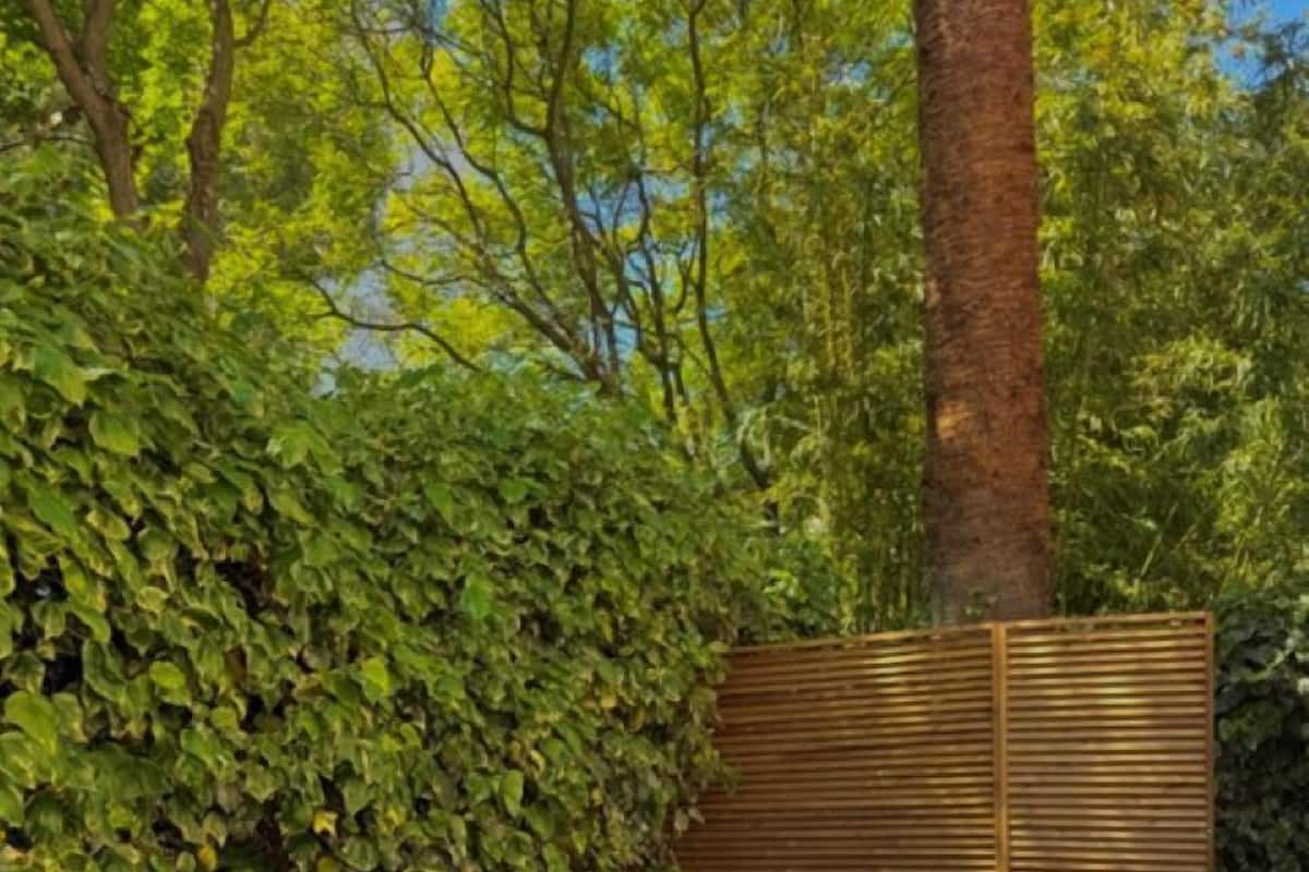Une terrasse avec des meubles d’extérieur, une clôture en bois et une haie.